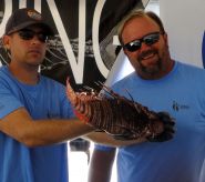 Gigantic lionfish takes it on the fin in Sarasota spearfishing event